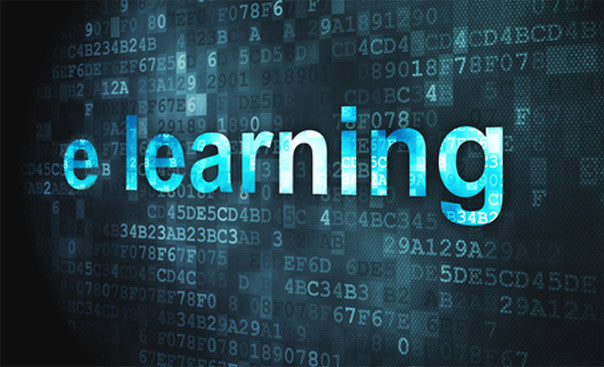 E-LEARNING PROGRAMMES: DISTANCE LEARNING COURSES IN MINING, OIL & GAS